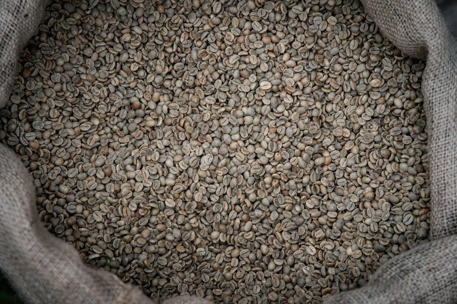 Green coffee beans ready for export